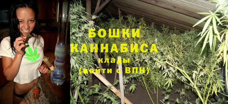 Канабис OG Kush  Коркино 